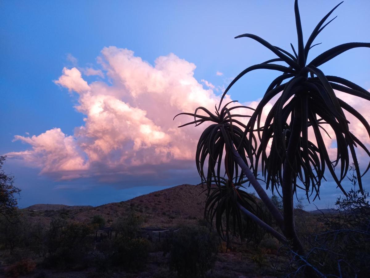 Vakantieboerderij Wolverfontein Karoo Ladismith